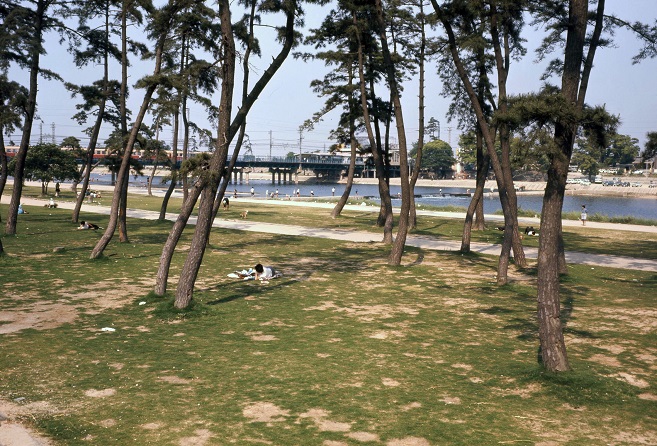 憩いの場 武庫川