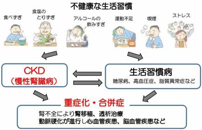 腎機能が低下する原因を説明した図