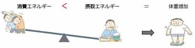 消費エネルギー<摂取エネルギー=体重増加