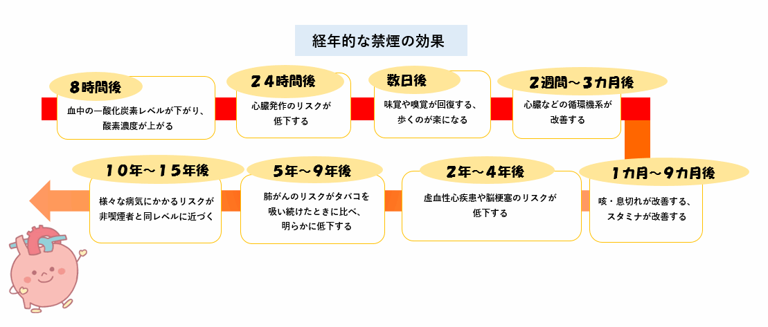 禁煙後の体の変化を説明した図