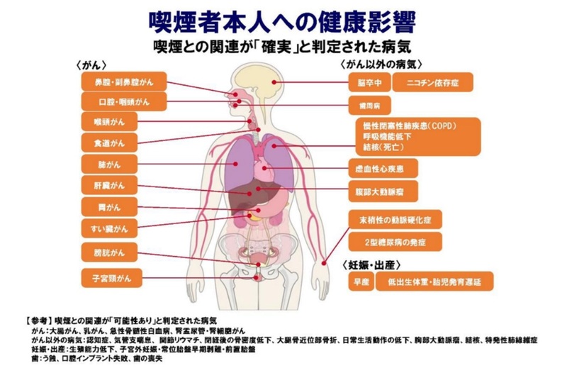喫煙者本人への健康影響