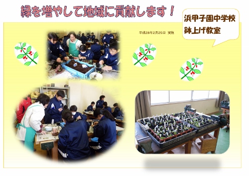 浜甲子園中学校 鉢上げ教室