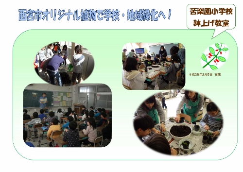 苦楽園小学校 鉢上げ教室