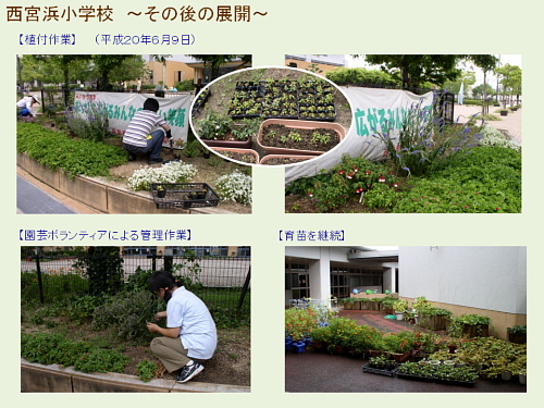 西宮浜小学校~その後の展開