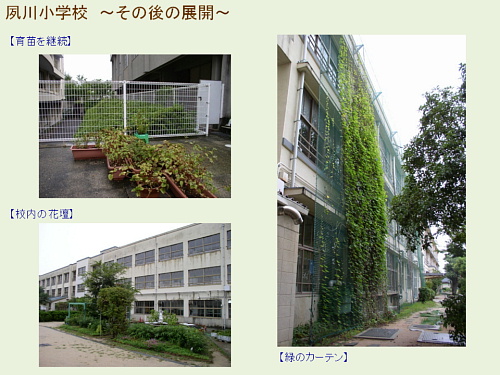 夙川小学校~その後の展開